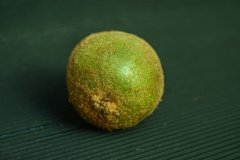 奇異果喜歡什么樣的氣候？