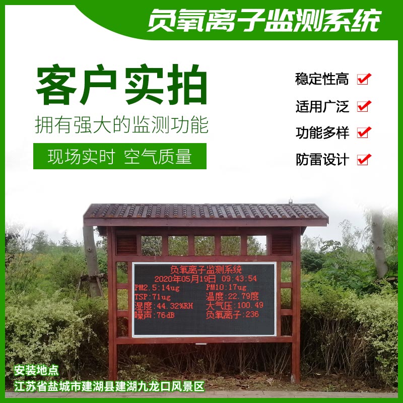 負氧離子監測系統